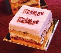 ترامیسو تی اس