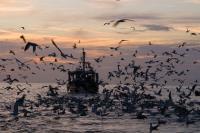 تور قشم آژانس فلامینگو