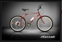    دوچرخه کوهستان